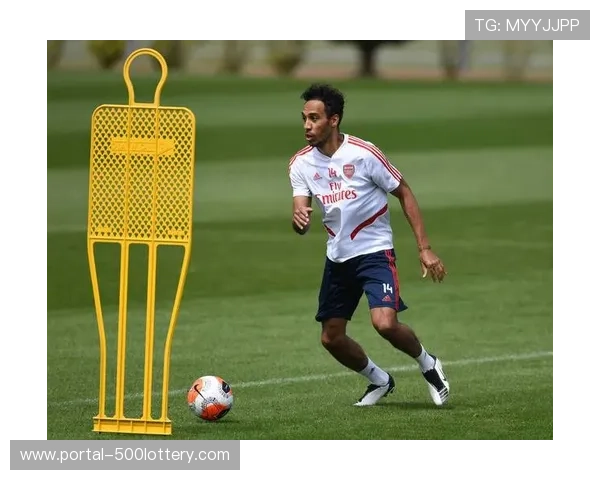 英超社区项目评估:俱乐部基层足球推广成效调查 英超社区项目评估:俱乐部基层足球推广成效调查